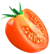 بندورة