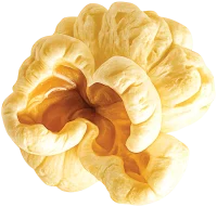 حبة بوشار بوبينتو 2